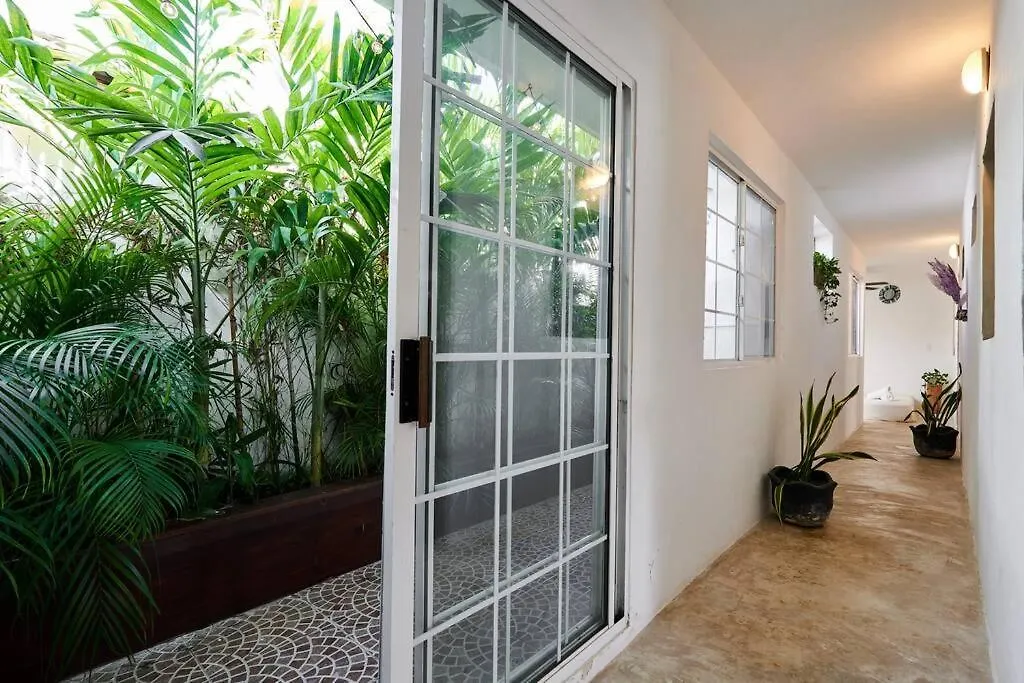 图卢姆Super Centric House 3 Kingsize And Private Garden公寓 公寓
